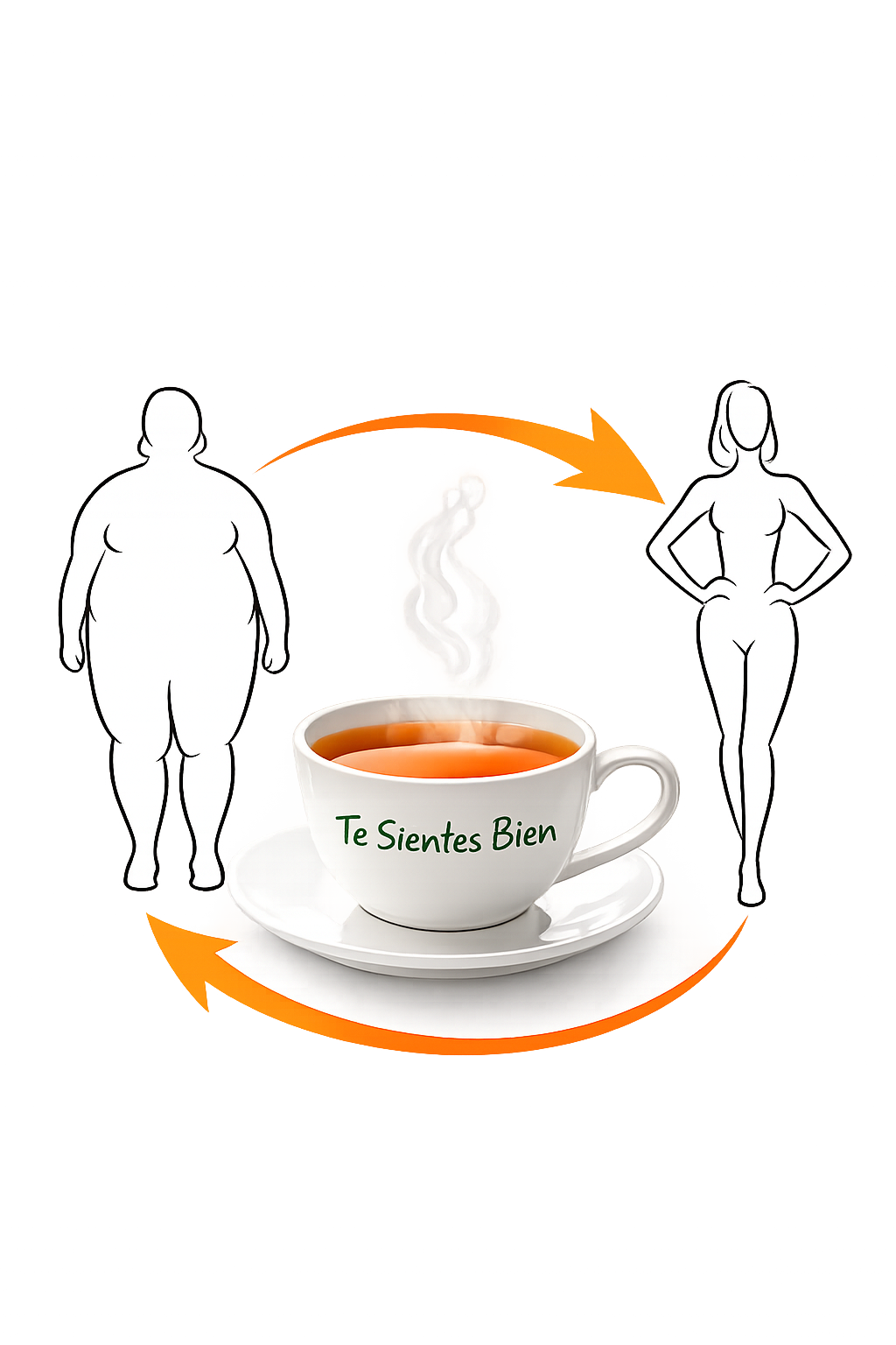 Te Sientes Bien TSB digestión e inflamación intestinal Infusión Te Sientes Bien TSB para apoyar la digestión y reducir la inflamación intestinal